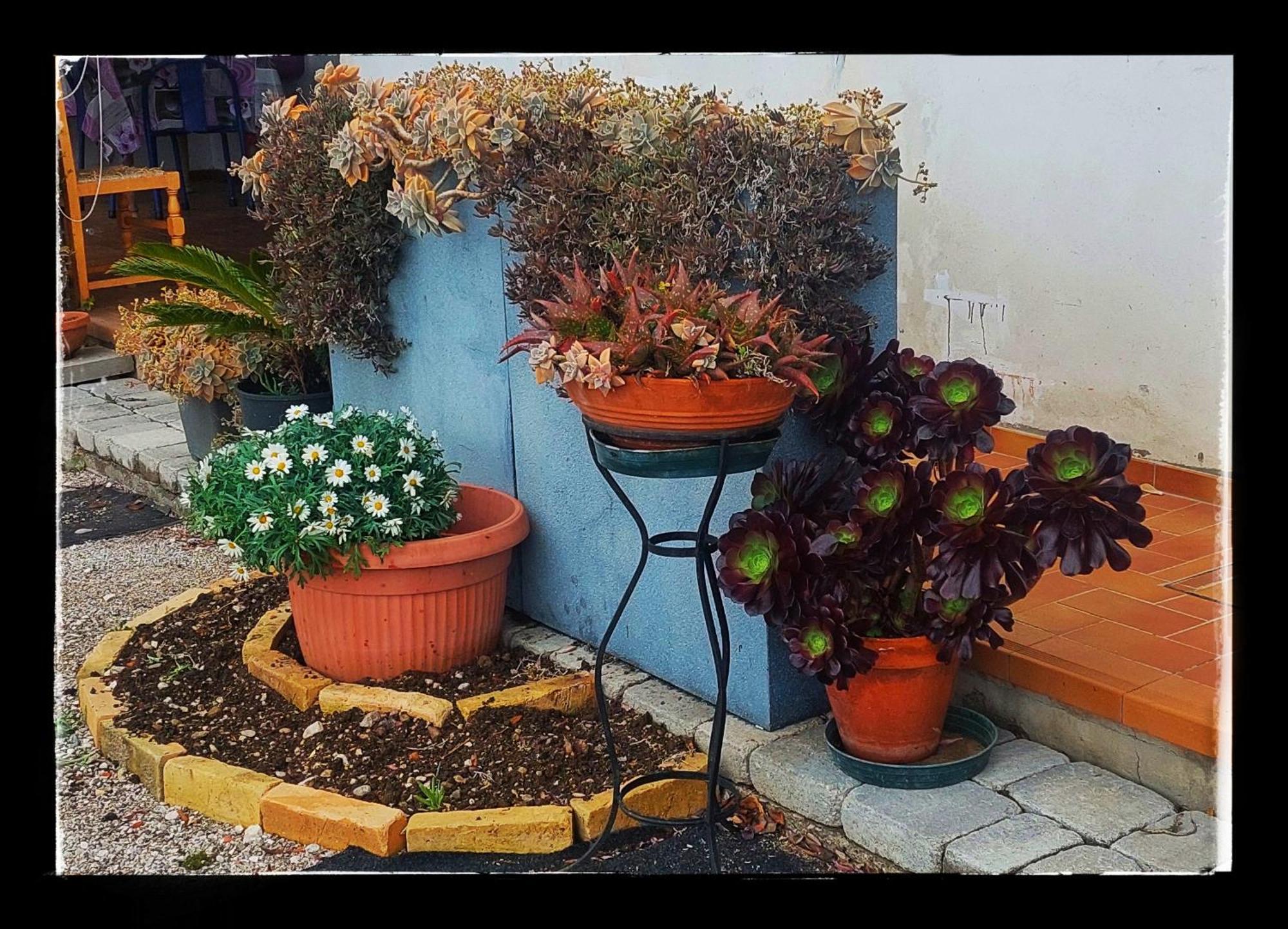 B&B Da Gi&Jo Forgaria nel Friuli Zewnętrze zdjęcie